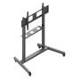 Edbak TR19 Cărucior cu ecran 60-110"