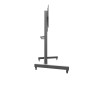 Edbak TR19 Cărucior cu ecran 60-110"